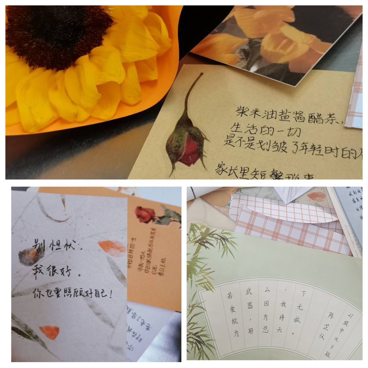 澳门太阳集团城网址9661